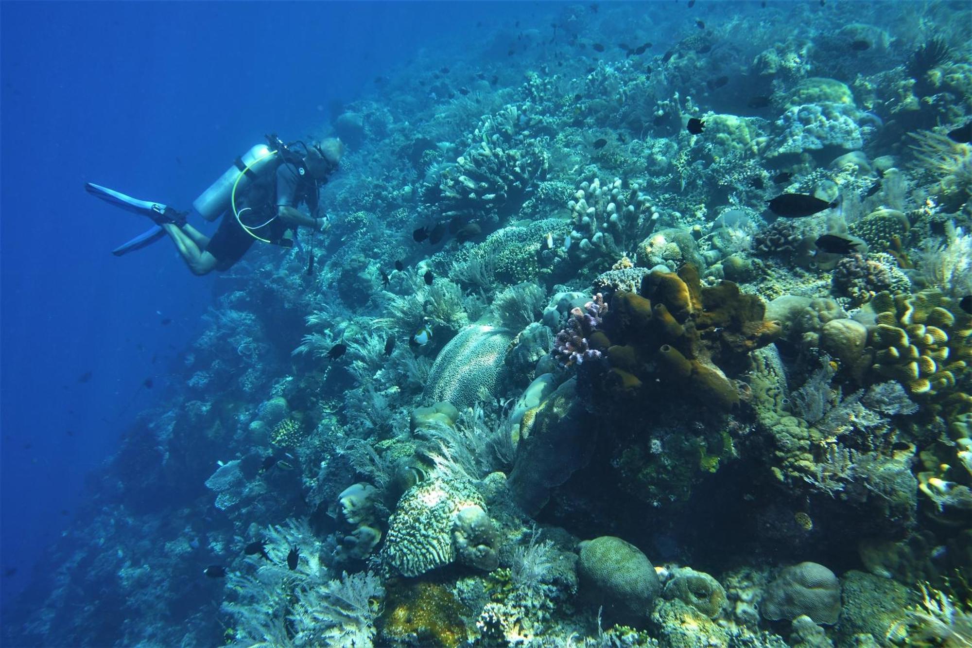 Bunaken Sea Garden Resort Екстериор снимка
